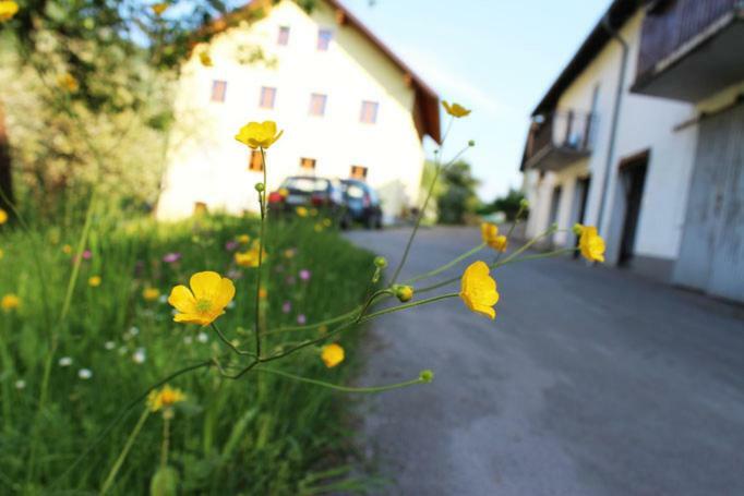 Ferienwohnung Huber Энгельхартсцелль Экстерьер фото